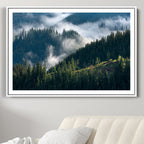Misty Forest Wall Art Canvas Print | Pine Hills with Foggy Trees