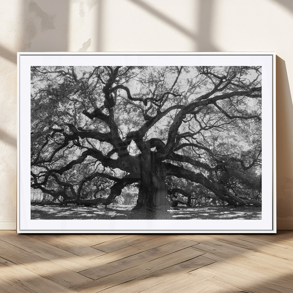 Ancient Oak Wall Art Canvas Print | Gnarled Tree with Twisted Branches