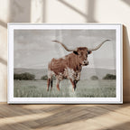 Texas Longhorn Wall Art | Framed Spotted Cattle Canvas