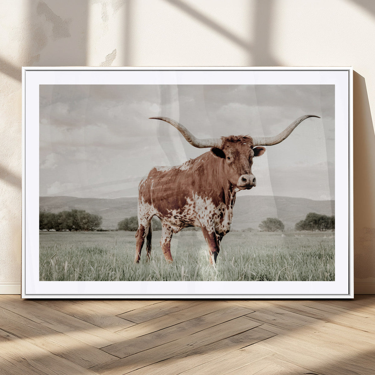 Texas Longhorn Wall Art | Framed Spotted Cattle Canvas
