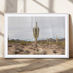 Saguaro Cactus Wall Art | Framed Desert Canvas Artwork