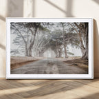 Cypress Tunnel Wall Art | Framed Misty Road Canvas Artwork