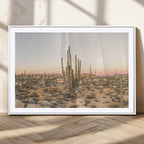 Desert Cactus Wall Art Canvas Print, Framed Baja Desert Art, Pastel Southwestern Decor
