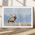Elk Photography Wall Art Canvas Print, Framed Mountain Wildlife Art, Rustic Lodge Decor