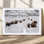 Bison Herd Wall Art Canvas Print, Framed Western Wildlife Decor, Snowy Mountain Valley