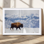 Bison Snow Wall Art Canvas Print, Framed Wildlife Scene, Western Ranch Style Decor