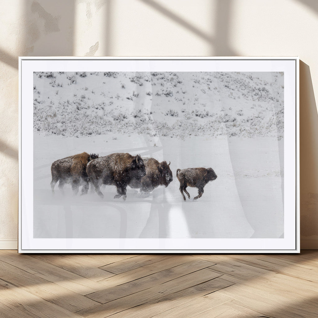 Bison Herd Wall Art Canvas Print, Framed Snowy Bison Scene, Winter Wildlife Decor