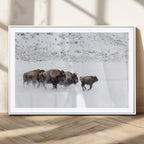 Bison Herd Wall Art Canvas Print, Framed Snowy Bison Scene, Winter Wildlife Decor