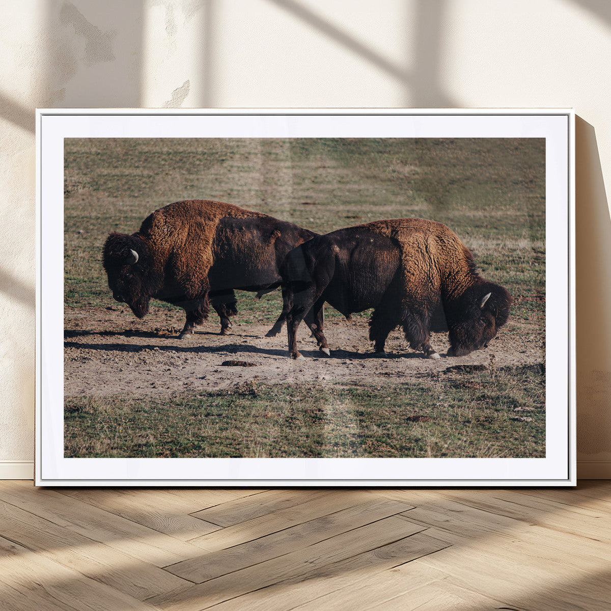 Bison Wall Art Canvas Print, Framed Western Wildlife Modern Ranch