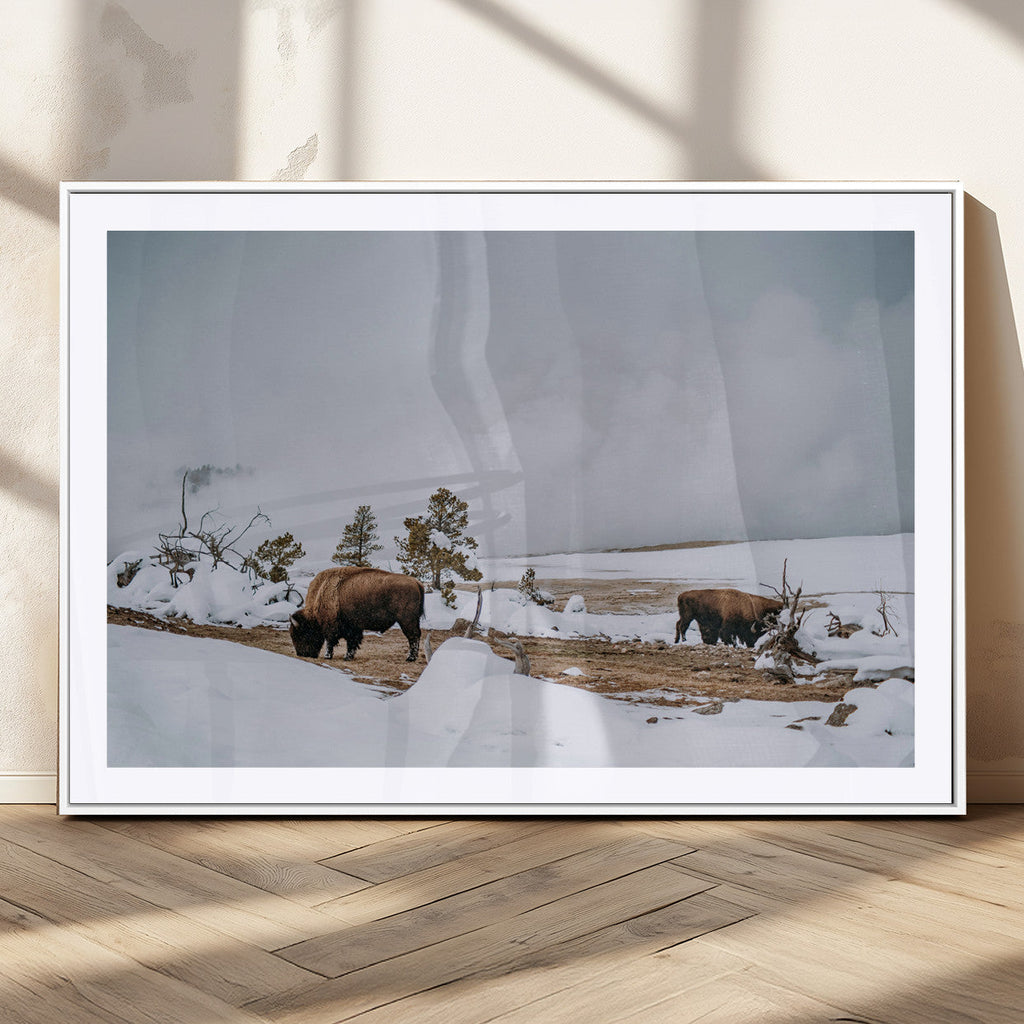 Bison Wildlife Wall Art Canvas Print, Framed Snowy Prairie Art, Western Landscape Decor