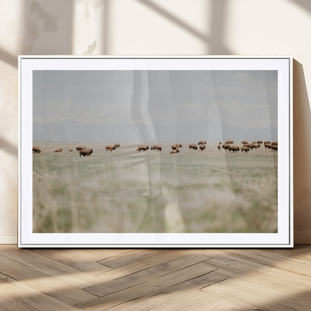 Bison Herd Wall Art Canvas Print, Framed Western Ranch Nature Scene