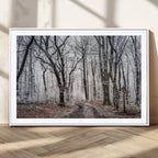 Winter Forest Wall Art Canvas Print, Framed Frosty Woodland with Misty Trees