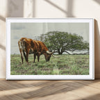 Texas Longhorn Wall Art Canvas Print, Framed Rustic Ranch Western Cattle