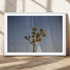 Joshua Tree Wall Art Canvas Print, Framed Southwestern Desert Landscape