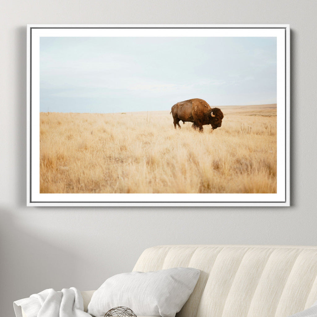 Buffalo Wall Art Canvas Print, Framed Western Wildlife Rustic Prairie Scene
