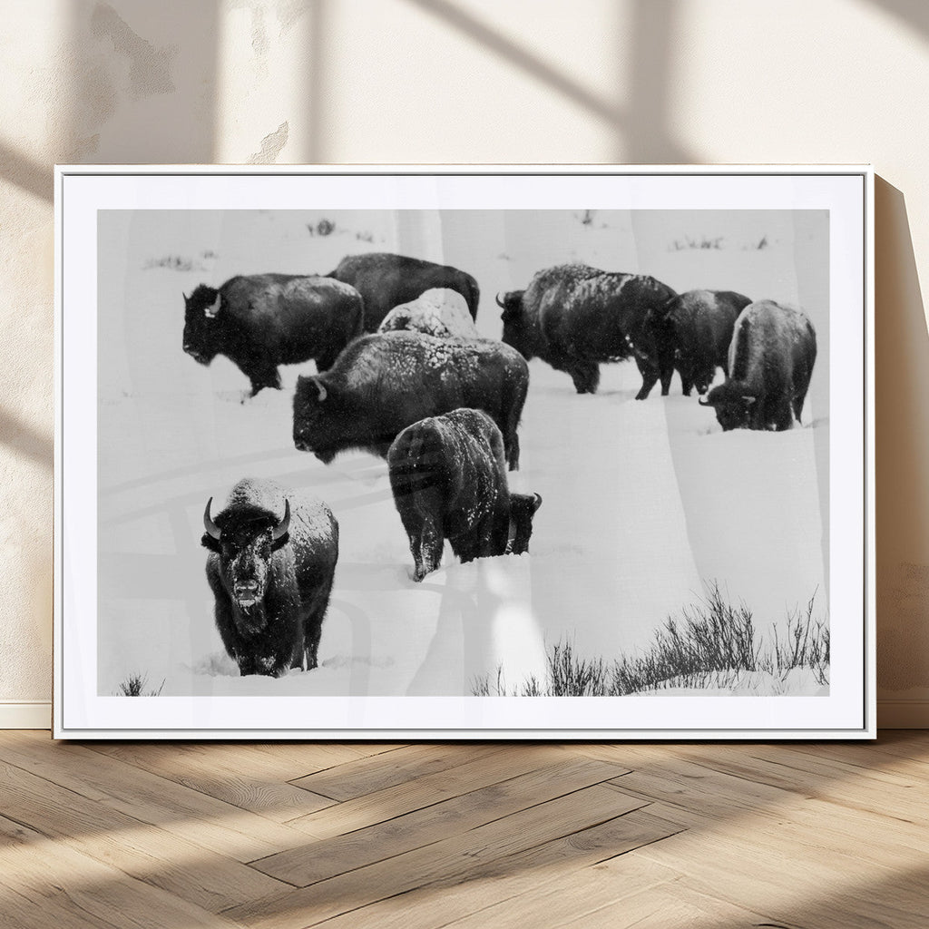 Buffalo Herd Wall Art Canvas Print, Framed Black and White Snowy Landscape