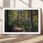 Autumn Forest Wall Art Canvas Print, Framed Fall Woodland with Golden Leaves