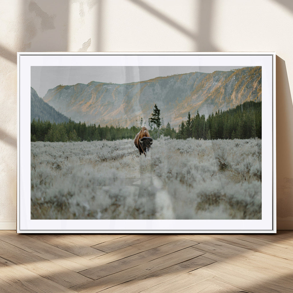 Wild Bison Wall Art Canvas Print, Majestic Mountain Pines and Misty Wilderness