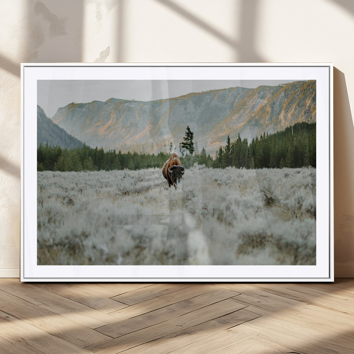 Wild Bison Wall Art Canvas Print, Majestic Mountain Pines and Misty Wilderness