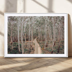 Forest Dirt Road Wall Art Canvas Print, Scenic Woodland Pathway with Tall Trees