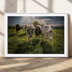 Grazing Cattle Herd Wall Art Canvas Print, Framed Green Pasture Farm Scene