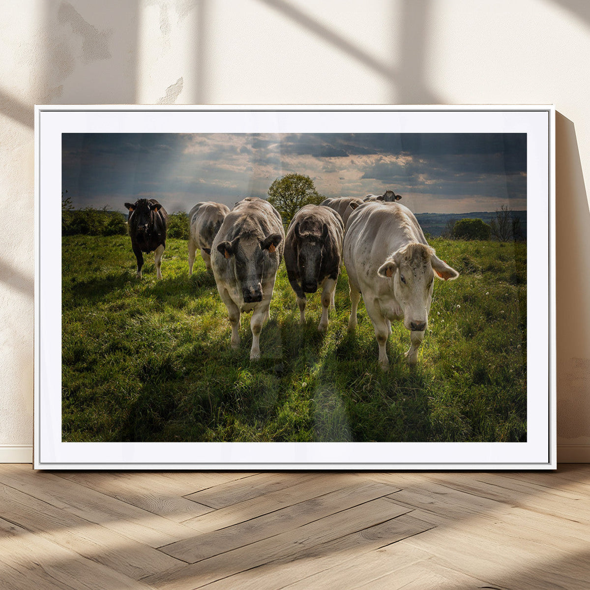 Grazing Cattle Herd Wall Art Canvas Print, Framed Green Pasture Farm Scene