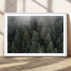 Misty Pine Forest Wall Art Canvas Print, Lush Green Trees Surrounded by Gentle Fog