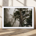 Misty Forest Wall Art Canvas Print, Framed Tall Trees in Foggy Atmosphere