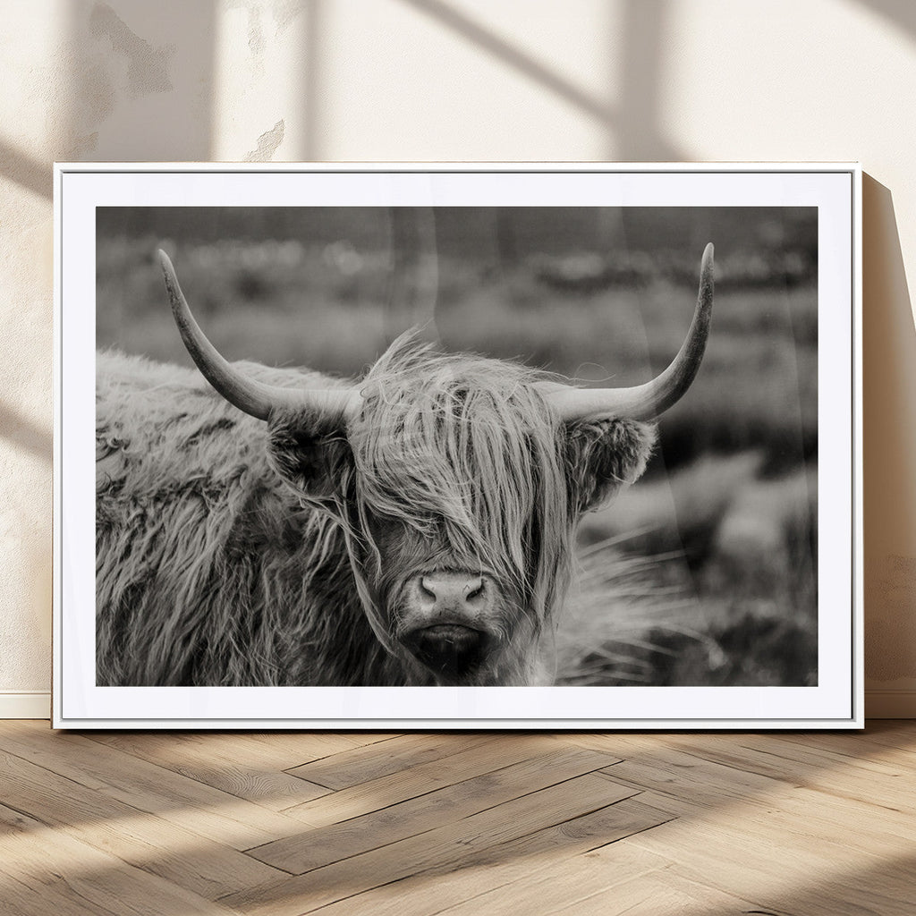 Cow Focus Canvas Wall Art Print