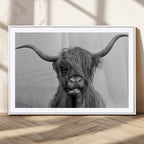 Texas Cow Wall Art Canvas, Texas Longhorn Cattle Canvas Print