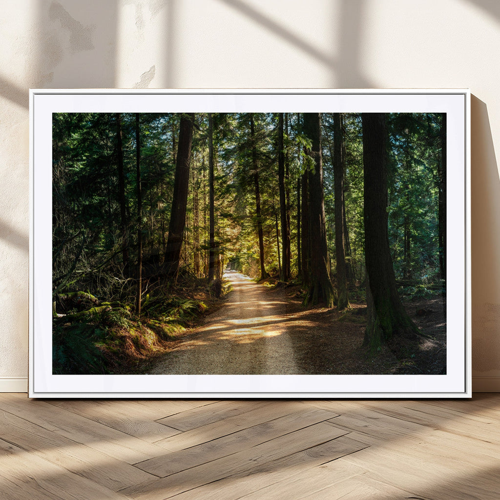 Sunlit Forest Pathway Canvas Print | 3 Panel Large Nature Wall Art