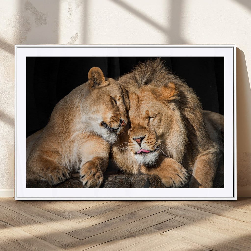 Lion and Lioness Wall Art Canvas Print | African Wildlife Animal Art