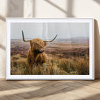 Scottish Highland Cow Canvas Wall Art, Rustic Farmhouse Decor