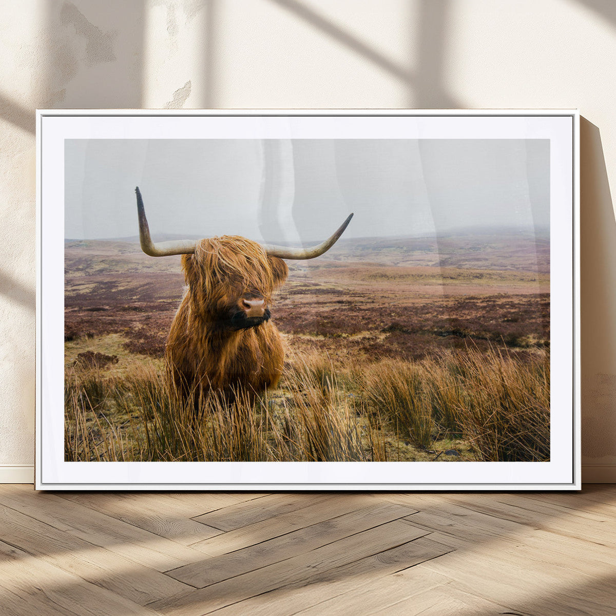 Scottish Highland Cow Canvas Wall Art, Rustic Farmhouse Decor