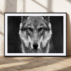 Black and White Wild Wolf Wall Art Canvas Print