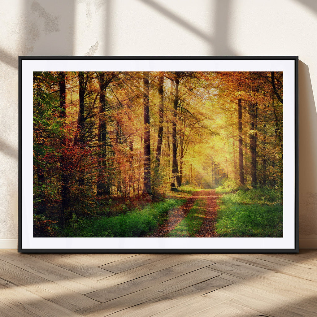 Sunlight Through Trees Wall Art Canvas Print | Autumn Forest Wall Art