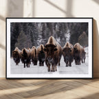 Bison Wall Art Canvas Print, Bison Herd Canvas Wall Art