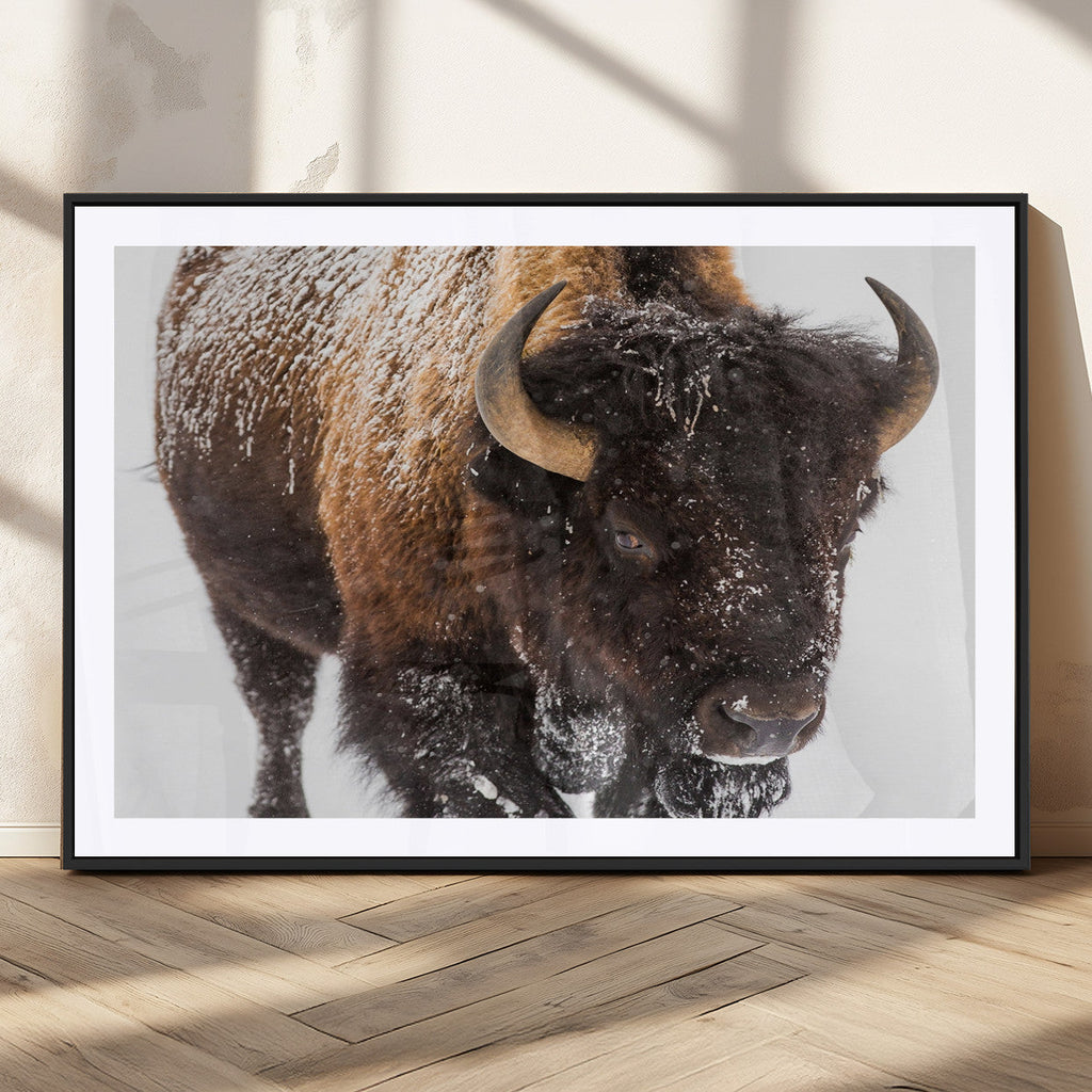 Bison Wall Art Canvas Print For Farmhouse, Wild Animal Wall Art
