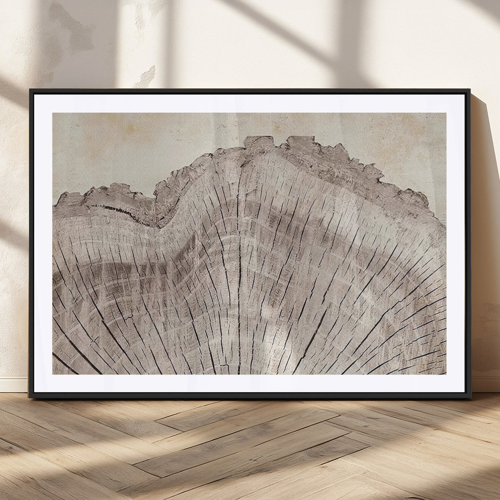 Tree Ring Wall Art Triptych, Rustic Wood Ring Canvas Print