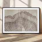 Tree Ring Wall Art Triptych, Rustic Wood Ring Canvas Print