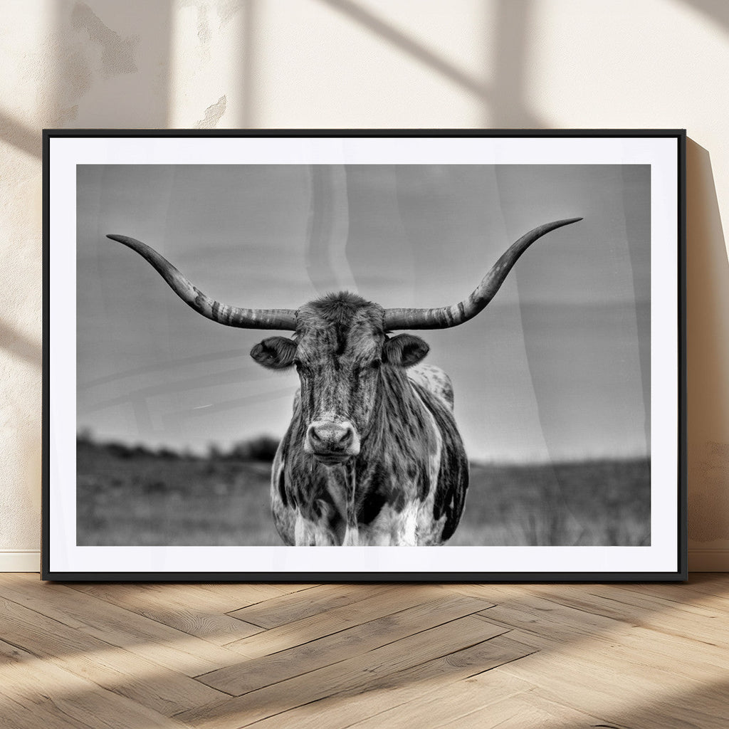 Texas Longhorn Cow Wall Art, Texas Longhorn Canvas, Cattle