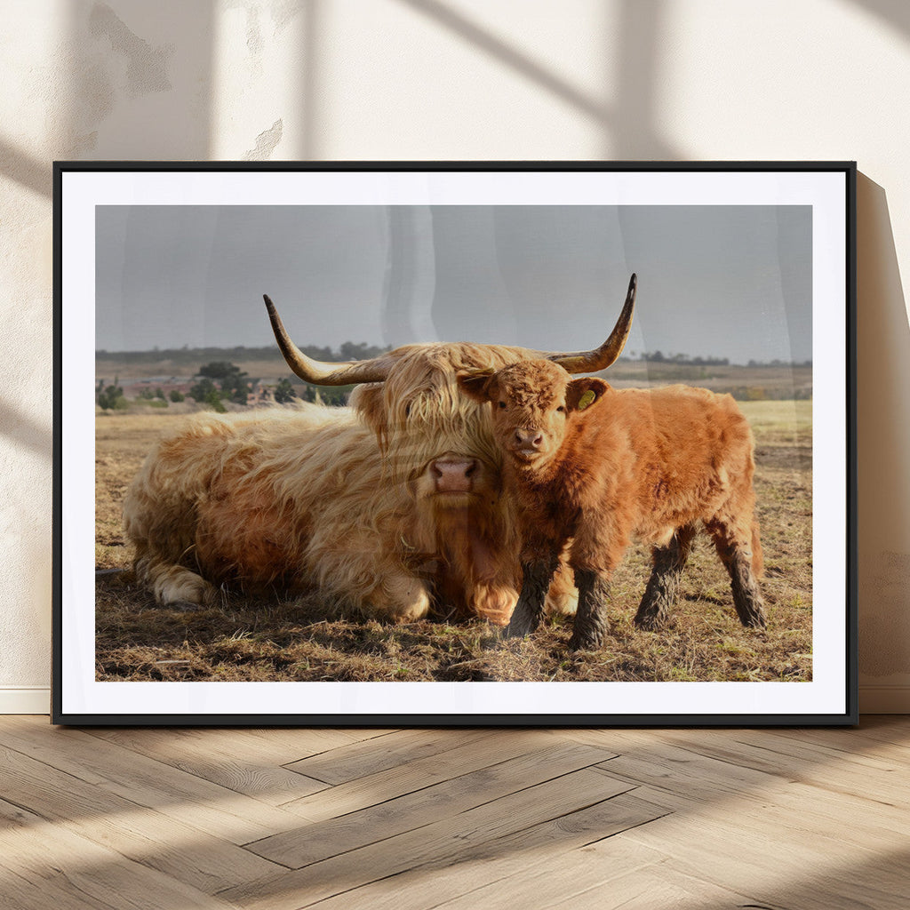 Highland Cow Canvas Wall Art Animal Print for Farm House Decor