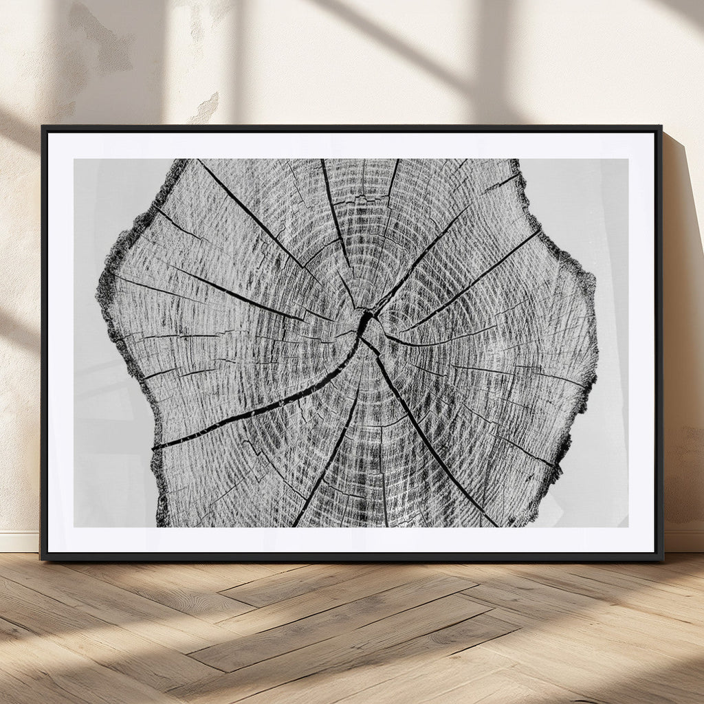 Rustic Tree Ring Wall Art Canvas Print, Framed and Ready to Hang
