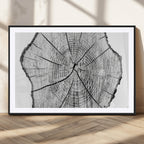 Rustic Tree Ring Wall Art Canvas Print, Framed and Ready to Hang
