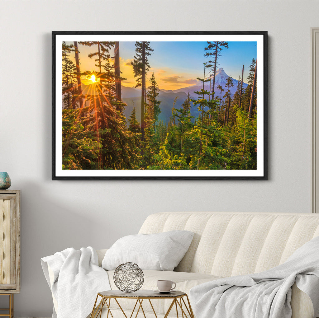 Forest Sunset Wall Art Canvas Print | Green Pines in Golden Light