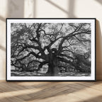 Ancient Oak Wall Art Canvas Print | Gnarled Tree with Twisted Branches