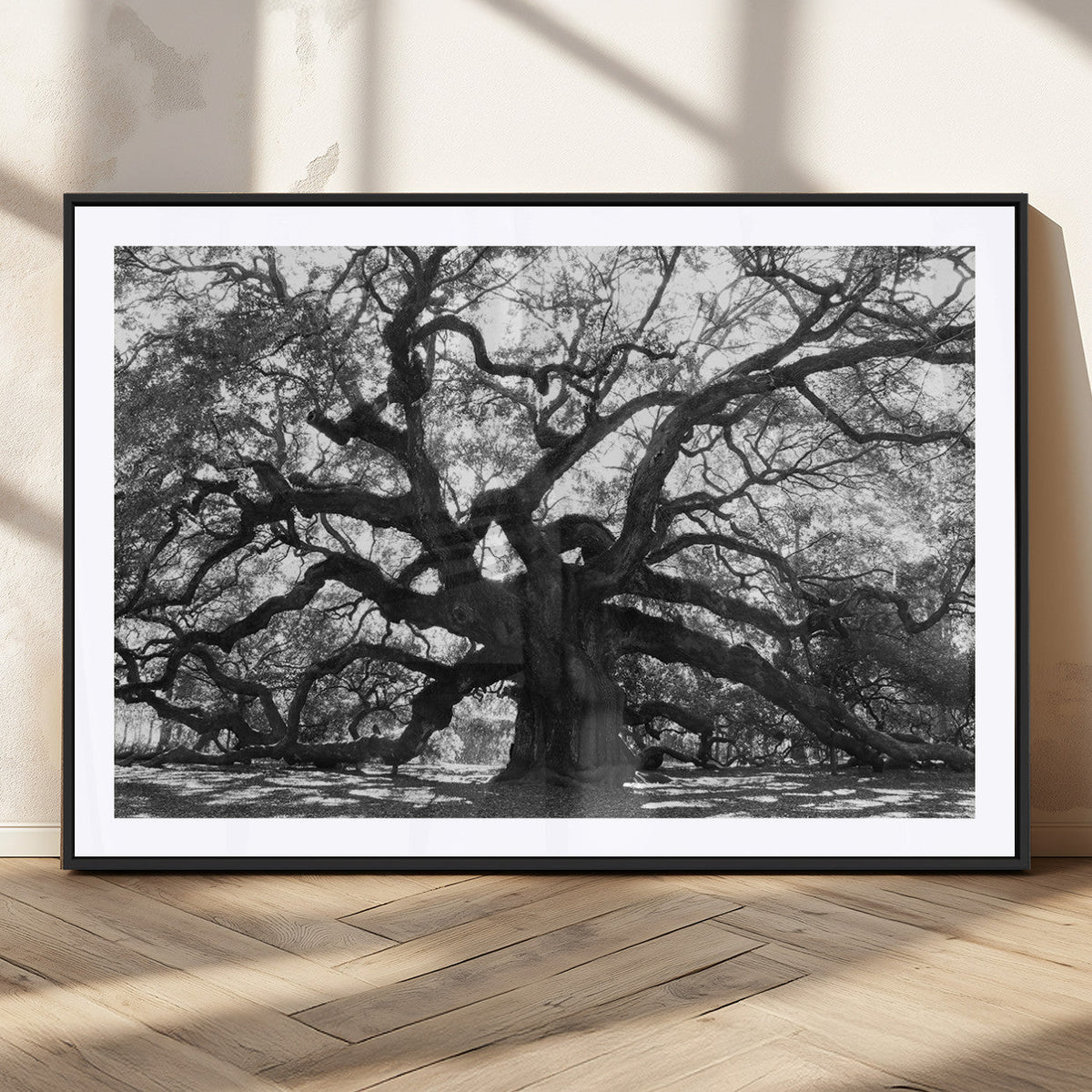 Ancient Oak Wall Art Canvas Print | Gnarled Tree with Twisted Branches