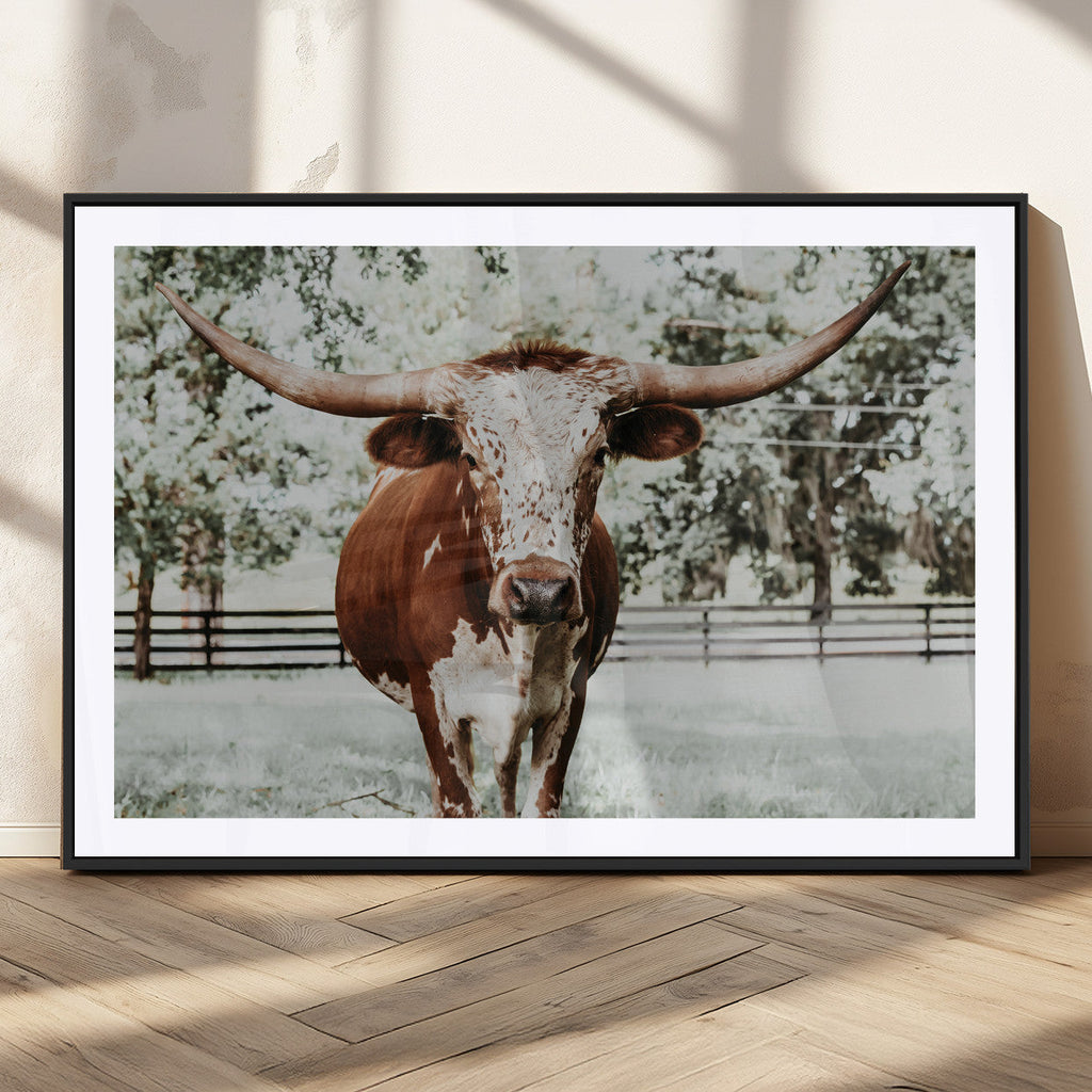 Texas Longhorn Wall Art Canvas Print | Framed Spotted Brown and White Bull
