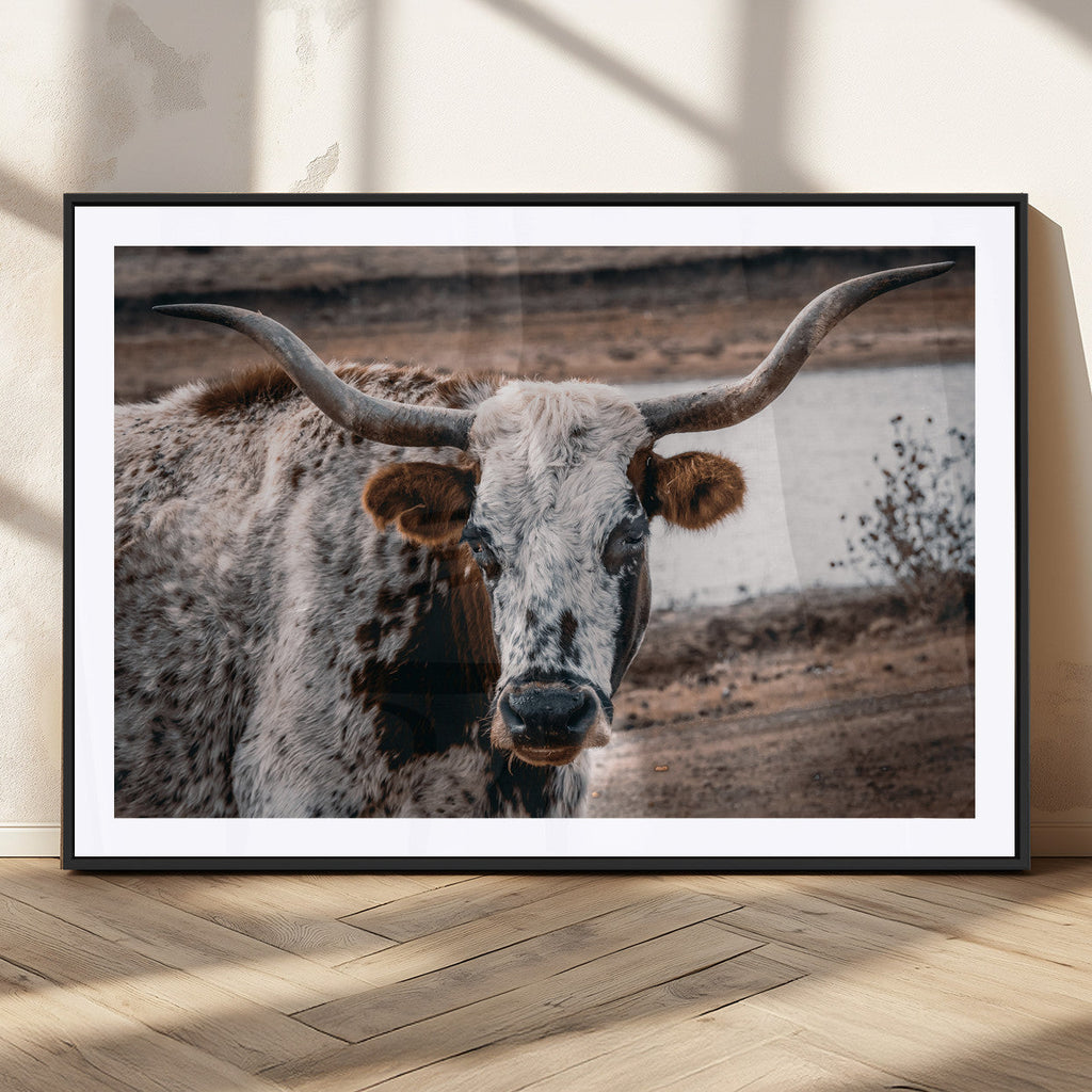 Texas Longhorn Wall Art Canvas Print | Framed Brown and White Spotted Longhorn
