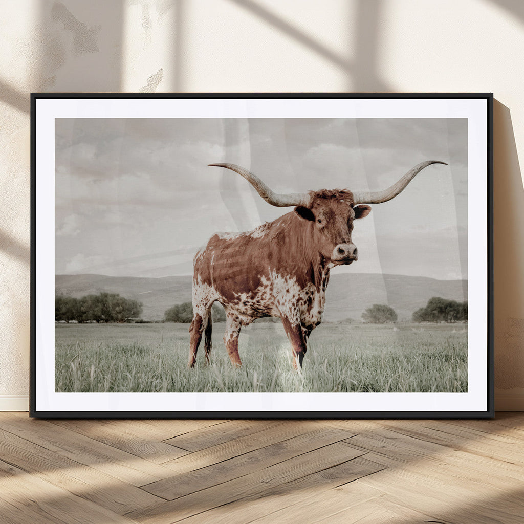 Texas Longhorn Wall Art | Framed Spotted Cattle Canvas